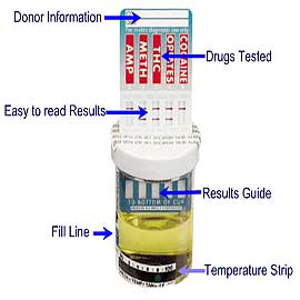 meth drug testing